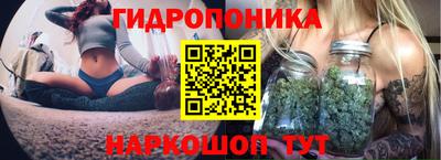 хмурый Кингисепп