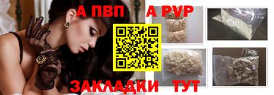 хмурый Кингисепп