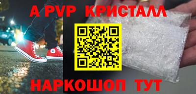 хмурый Кингисепп