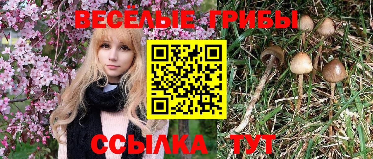Псилоцибиновые грибы ЛСД Дзержинский