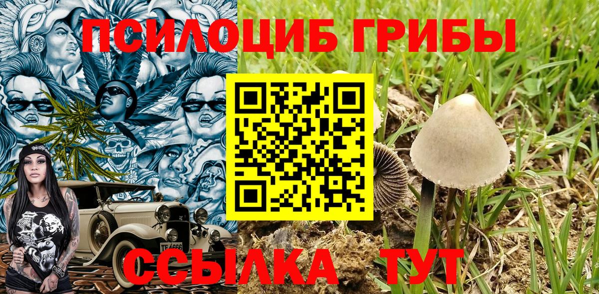 Дзержинский  Галлюциногенные грибы мухоморы  Вход с VPN 